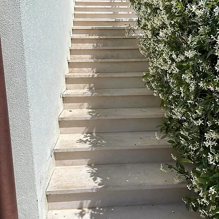 Festinalente Montegrotto Terme